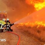 Firefighters work as flames and smoke rise during a wildfire, amid drought conditions following a heatwave and water