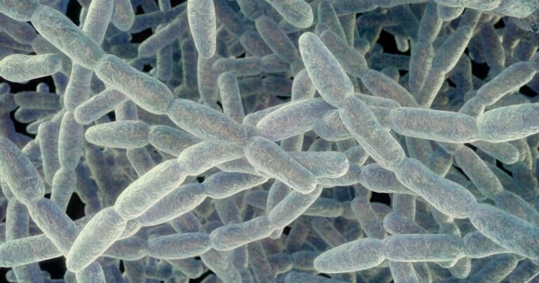 Fourth Fatality Confirmed in Upper East Side Legionnaires’ Cluster