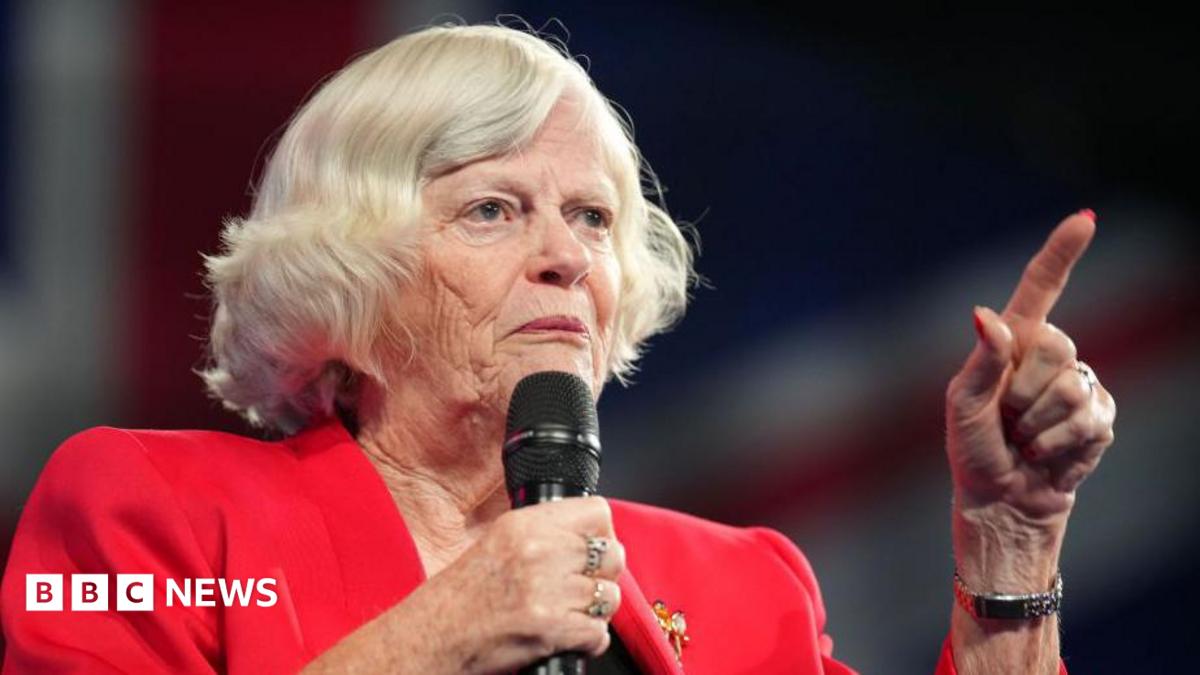 Ann Widdecombe wears a red jacket and holds a microphone while speaking at the Reform Party 2024 Conference