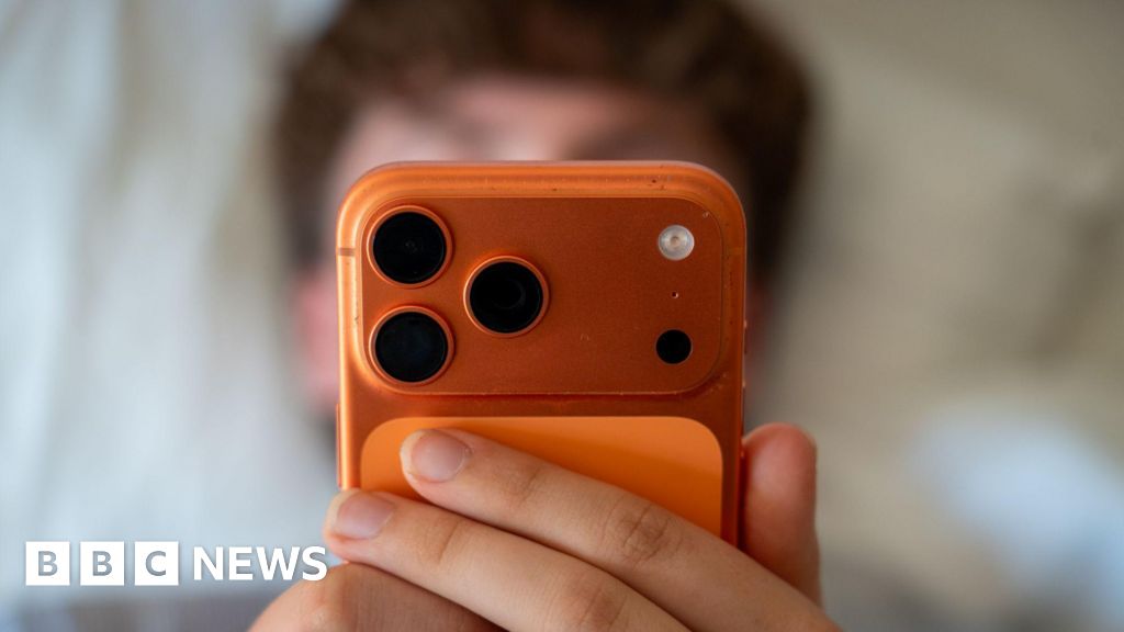 Rising Concerns Over Social Media-Driven Violence