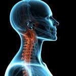 Targeted Patient Population and Study Design