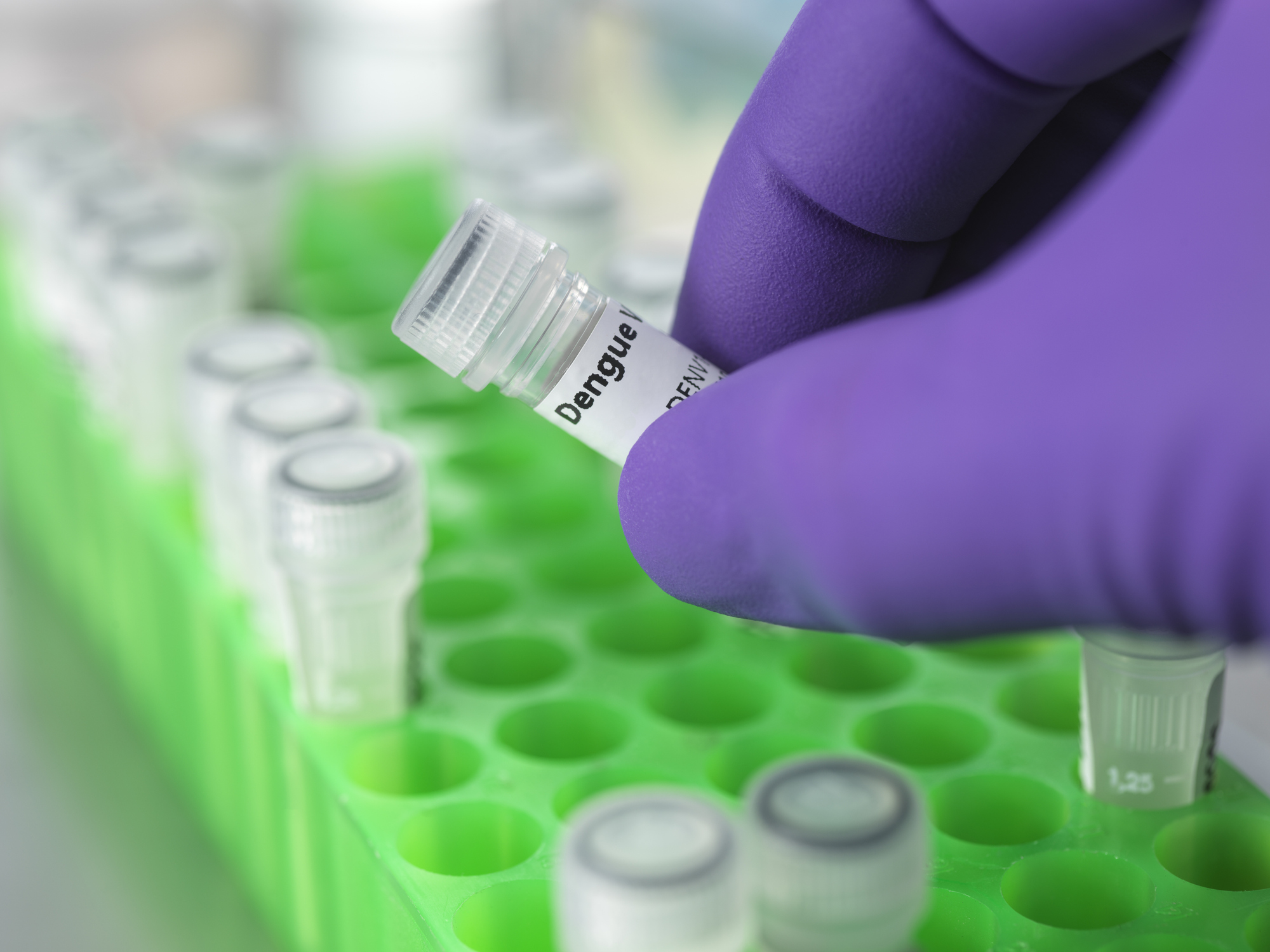Regulatory Approval and Vaccine Specifications
