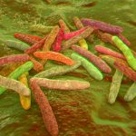 The Challenge of Mycomembrane Drug Resistance