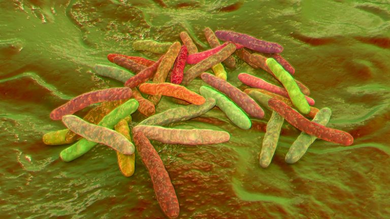 The Challenge of Mycomembrane Drug Resistance