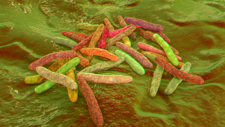 The Challenge of Mycomembrane Drug Resistance