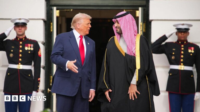 A file picture of Saudi Crown Prince Mohammed bin Salman and Donald Trump standing outside White House, behind them are two