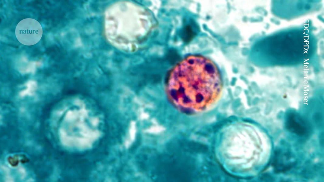 The Scope of the Outbreak
