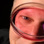 Retinal Development and the Foveola Transformation