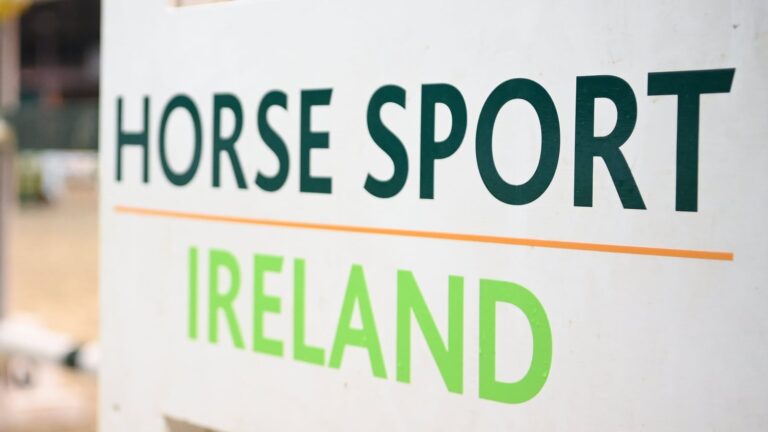 Horse Sport Ireland Seeks High Court Protection and Interim Examiner