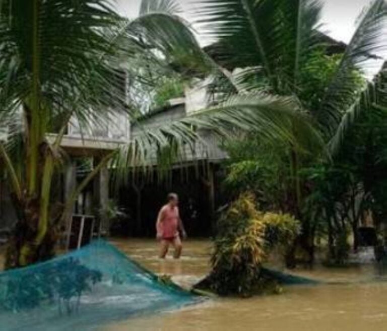 Agri Storm Losses Reach P1.73B From Recent Cyclones