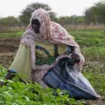 UN Recognizes Sahel Integrated Resilience Initiative as Restoration Flagship