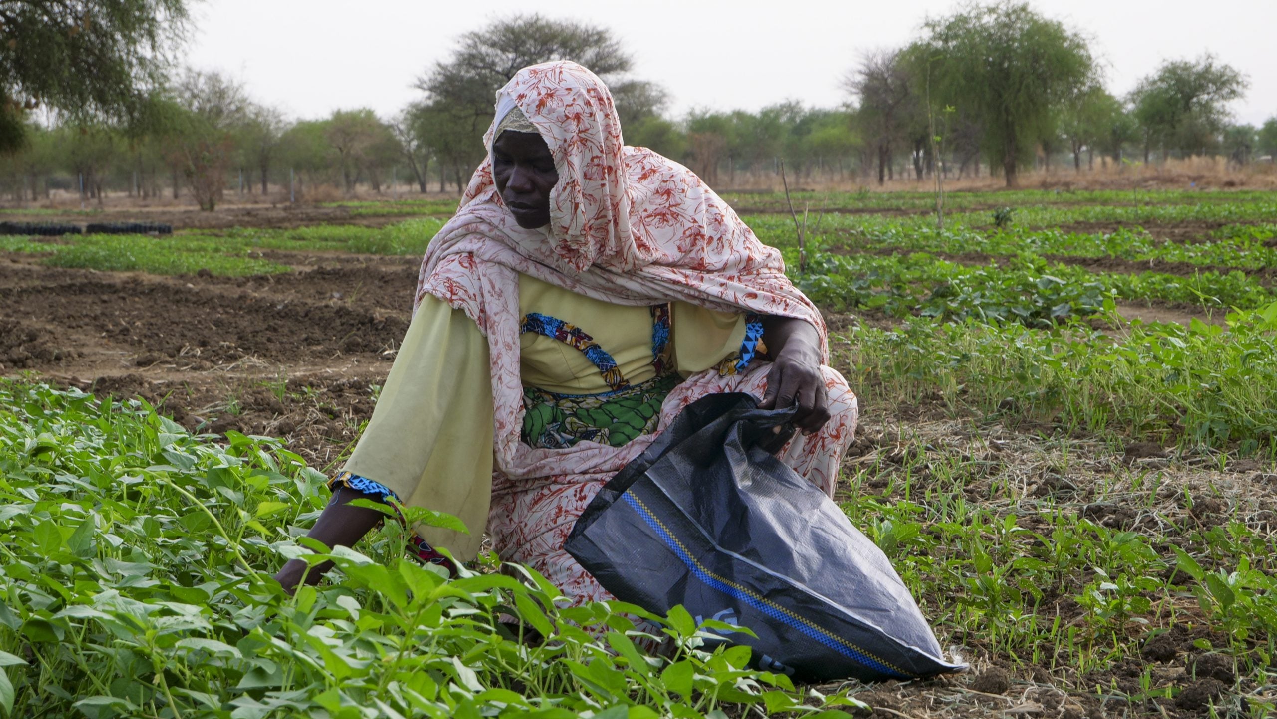UN Recognizes Sahel Integrated Resilience Initiative as Restoration Flagship