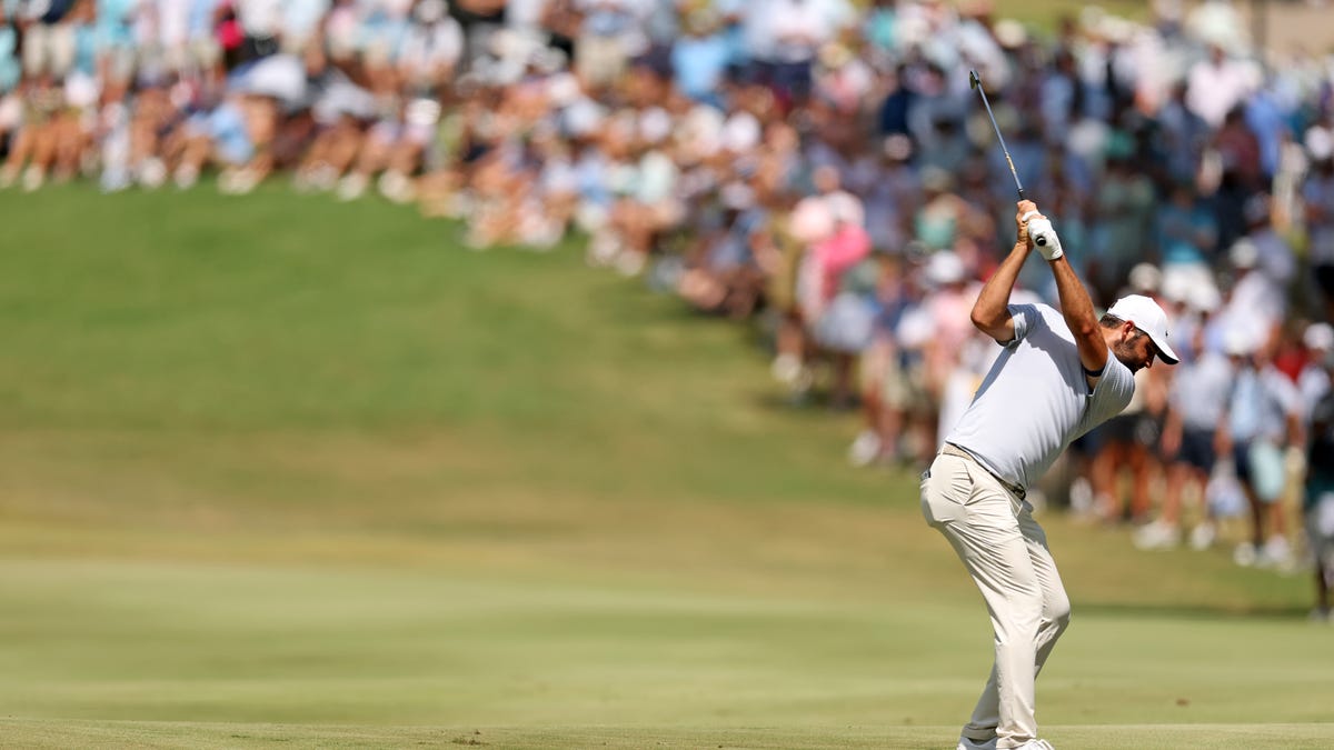 Scottie Scheffler Leads FedEx St. Jude Championship Entering Final Round