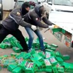 Ecuador Police Seize Cocaine Branded With Erling Haaland Stickers