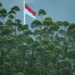 Indonesia Earthquake: Magnitude 7.7 Tremor Strikes Off Flores Island