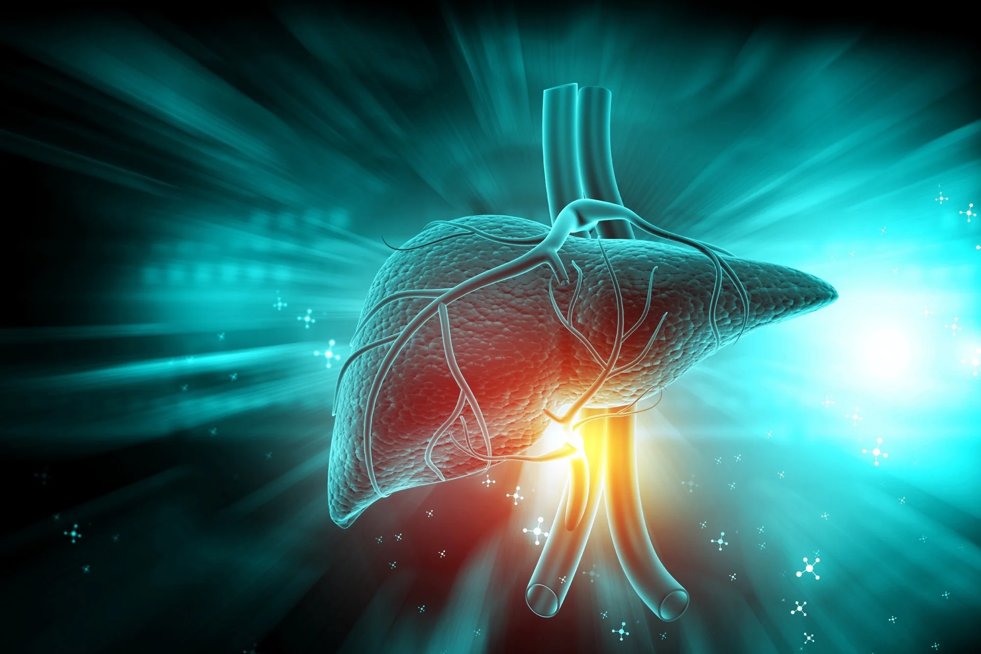 Ketogenic Diet Reduces Liver Fat Better Than Other Diets