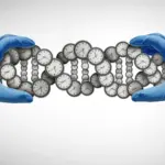 Simplified Biological Age Score Flags Cognitive Decline Risk