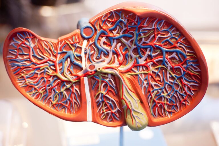 University of Toledo Researchers Develop Rapid Bile Acid Blood Test