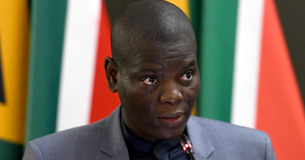 Ronald Lamola Recalls High Commissioner Anil Sooklal Over India Visit