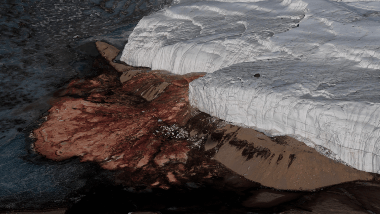 Antarctica's Blood Falls Hosts Marine Microbes Sealed for Millions of Years