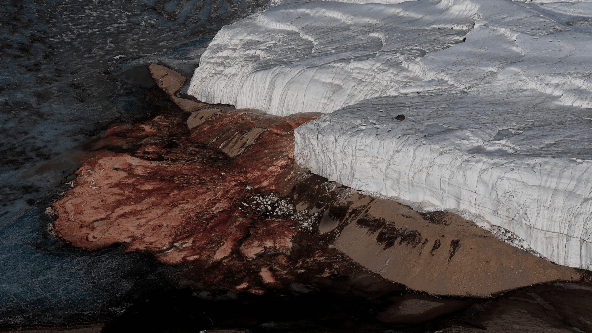 Antarctica's Blood Falls Hosts Marine Microbes Sealed for Millions of Years
