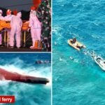 KM Virgo Transport 8 Death Toll Rises to 28 With 107 Missing in Java Sea