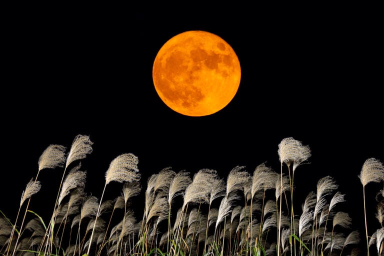 Harvest Moon Rises September 26 to Mark the 2026 Autumn Equinox