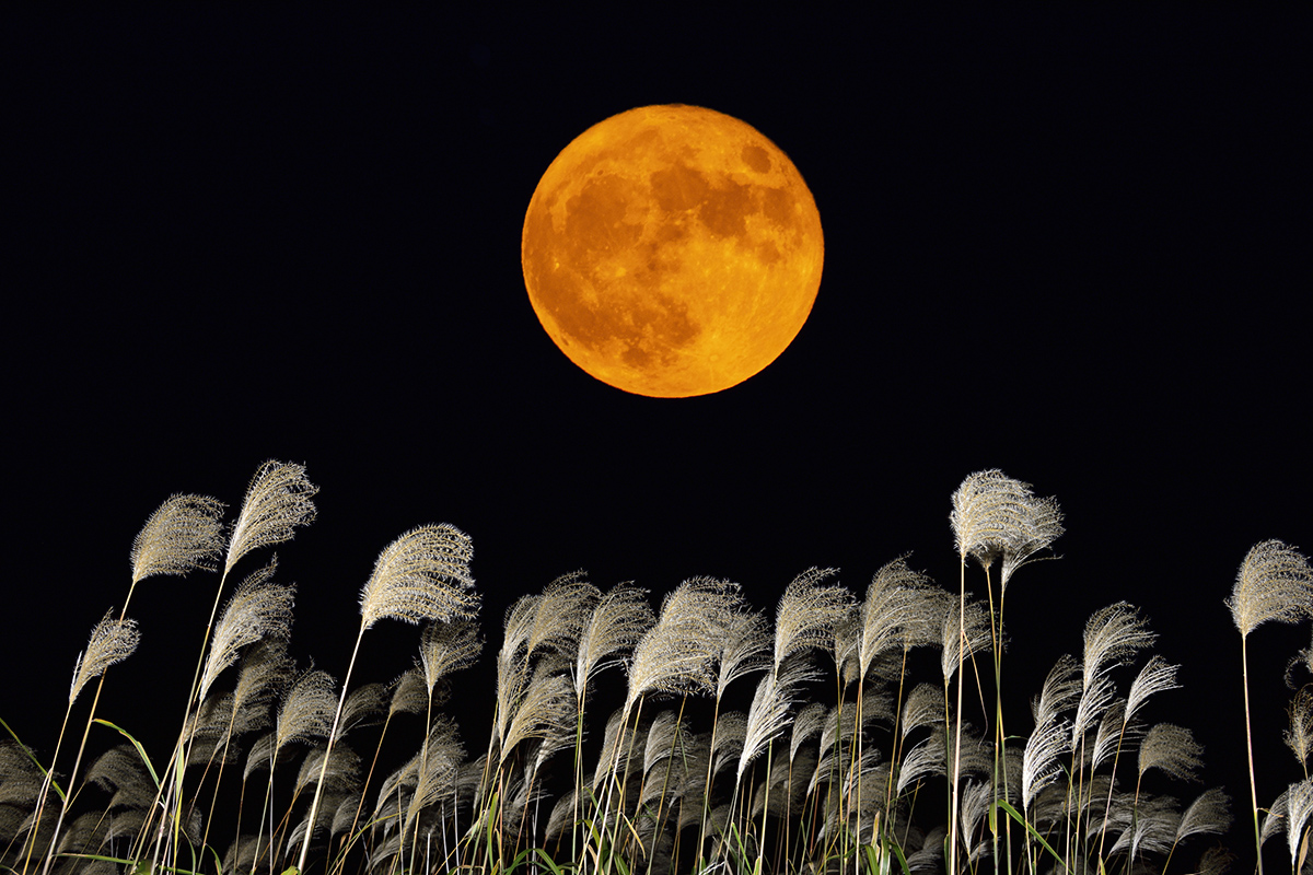 Harvest Moon Rises September 26 to Mark the 2026 Autumn Equinox