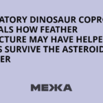Fossilized Dinosaur Poop Provides Clues on Why Some Birds Survived Asteroid