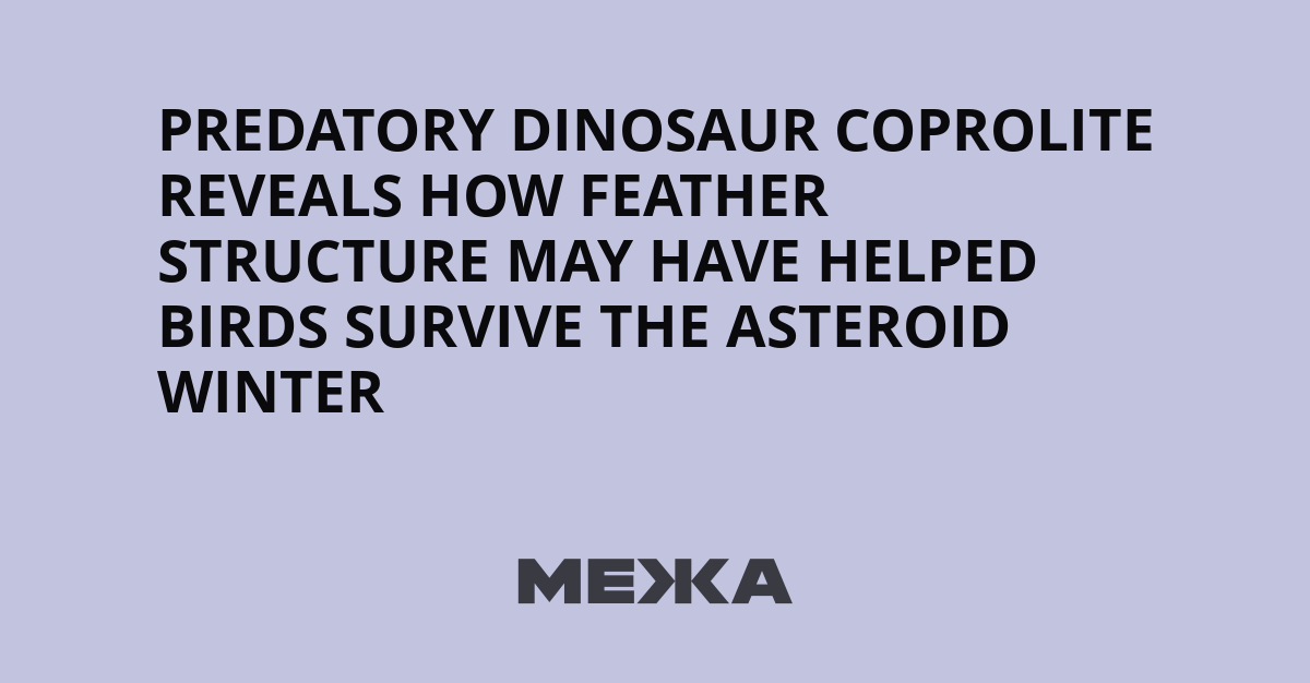 Fossilized Dinosaur Poop Provides Clues on Why Some Birds Survived Asteroid