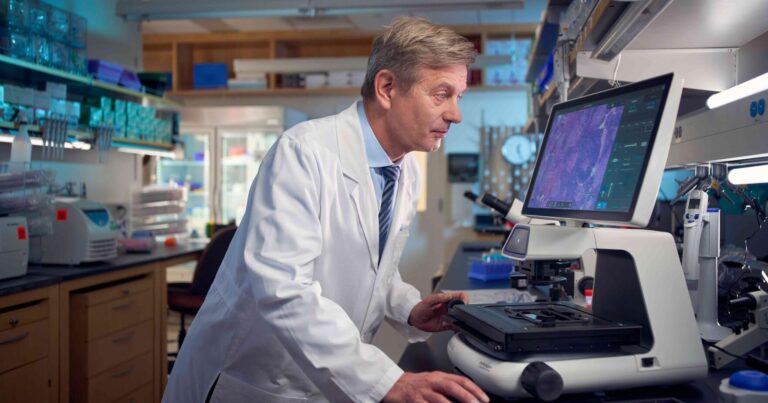High-Sugar Foods Increase Gut Microbiome Damage During Antibiotic Treatment