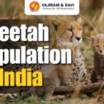 Cheetah Population in India