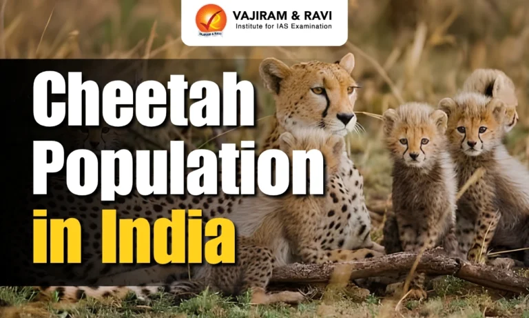 Cheetah Population in India