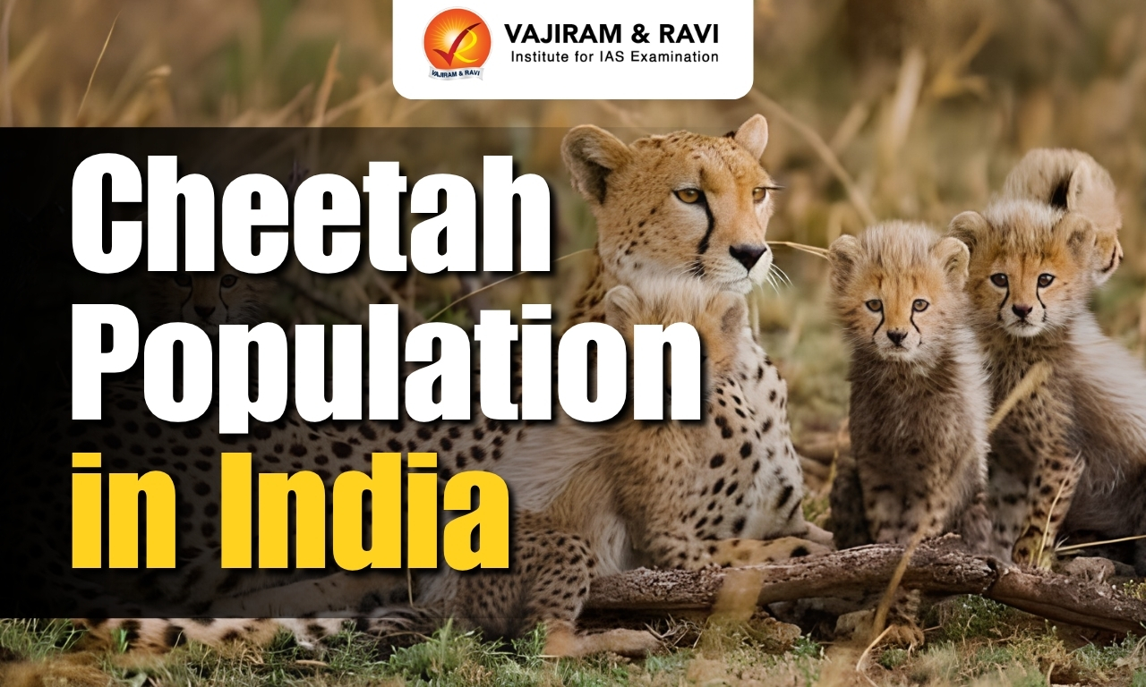 Cheetah Population in India