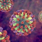 Australia Confirms First Mainland Mammal Death From H5N1 Bird Flu