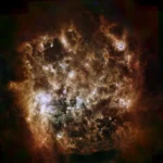 lmc galaxy,tarantula nebula,ghost head nebula
