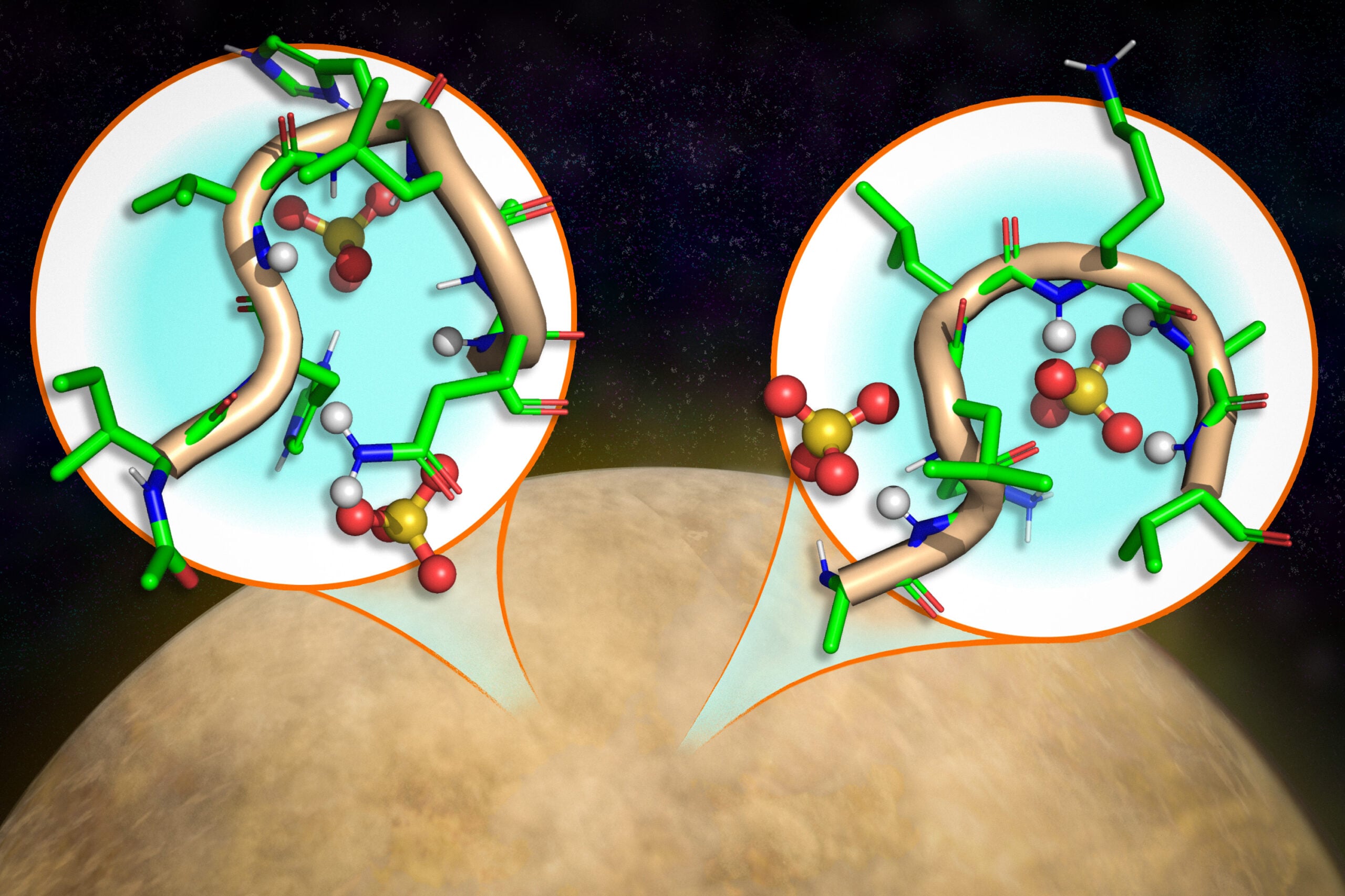 MIT Researchers Find Peptides Stable in Acid, Suggesting Life Could Exist on Venus
