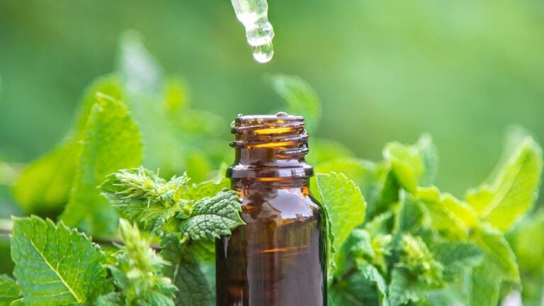 Peppermint Oil Lowers Blood Pressure in New Clinical Trial
