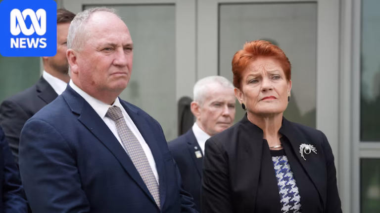 One Nation, Pauline Hanson, Barnaby Joyce