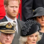 King Charles Clarifies Prince Harry And Meghan Non-Working Status
