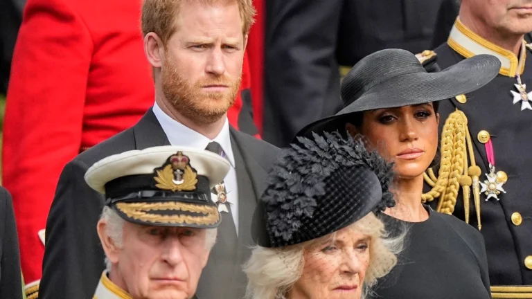 King Charles Clarifies Prince Harry And Meghan Non-Working Status