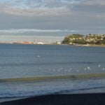 Rania Whare, 64, made a brief appearance in Napier District Court on Wednesday