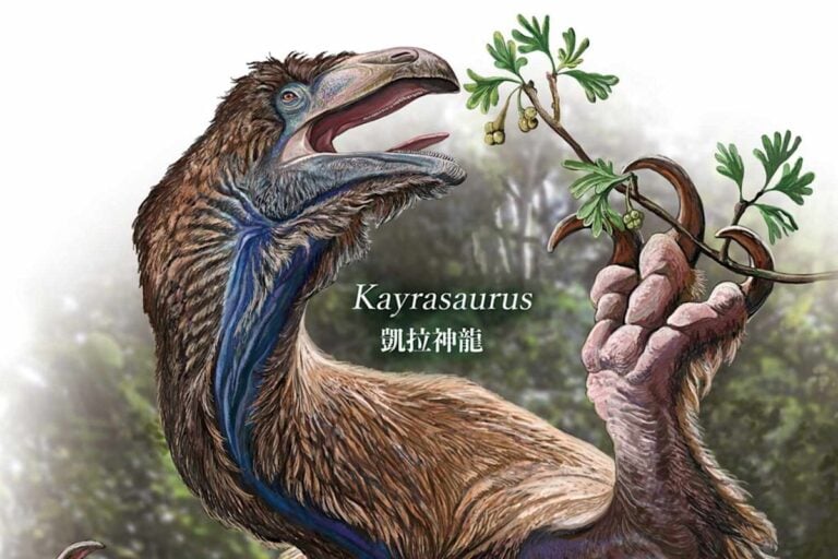 Researchers Discover Kayrasaurus changliensis Dinosaur Species in China