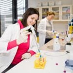 Researchers Use Cold Plasma to Reduce Bacterial Contamination on Dried Seaweed