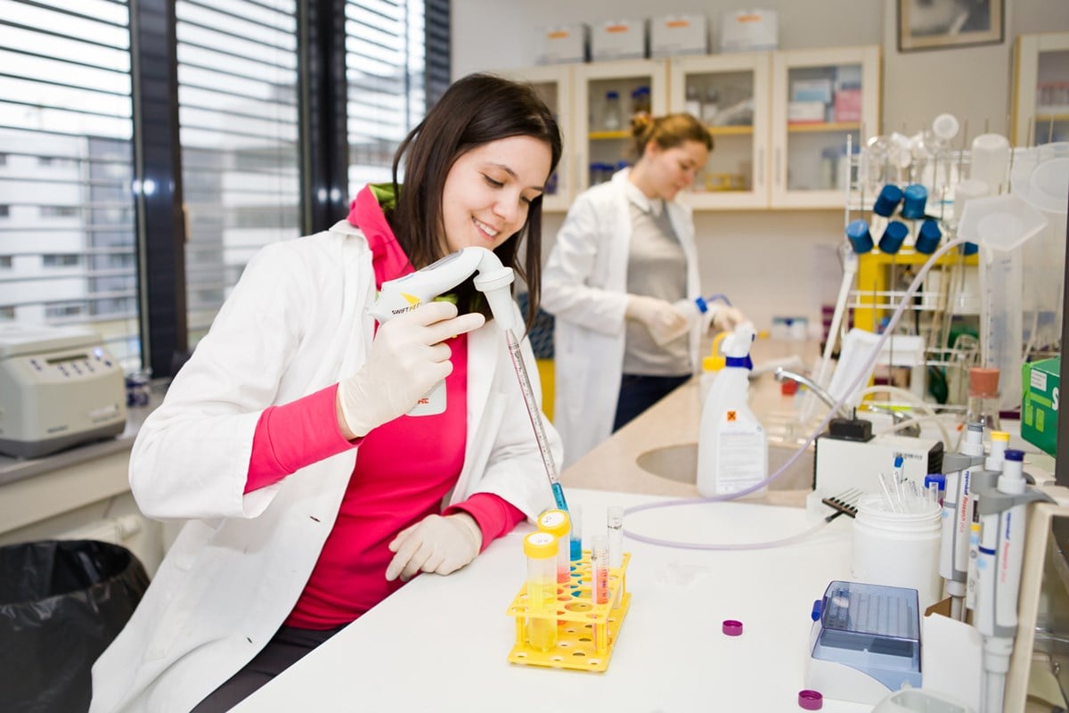 Researchers Use Cold Plasma to Reduce Bacterial Contamination on Dried Seaweed