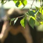 Marking World Mental Health Day 2026, the Irish government announced an €11 million funding package