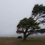 Rain warning begins in England and Wales as Storm Boelo hits UK