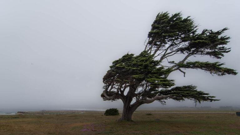 Rain warning begins in England and Wales as Storm Boelo hits UK