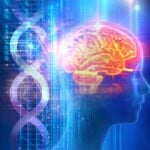 Routine Blood Tests May Predict Long-Term Dementia Risk