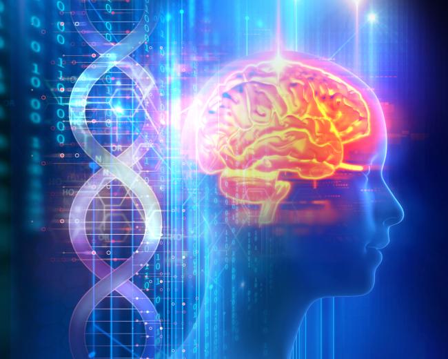 Routine Blood Tests May Predict Long-Term Dementia Risk